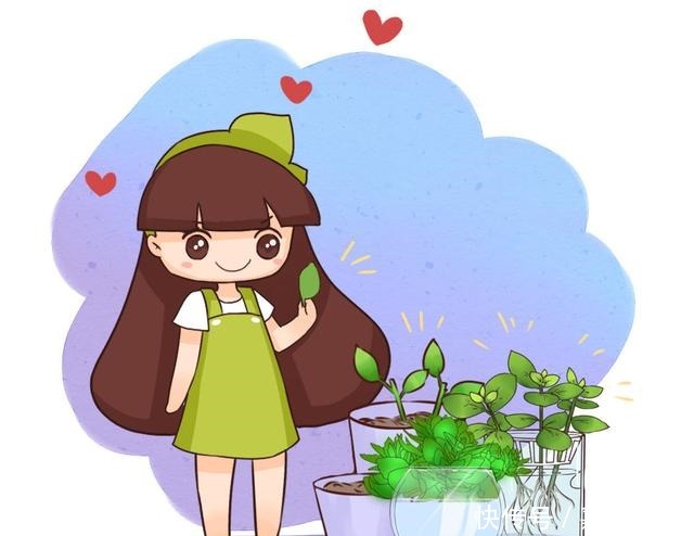 这花太好活,撸把叶子撒土里,3天生根,7天长芽!