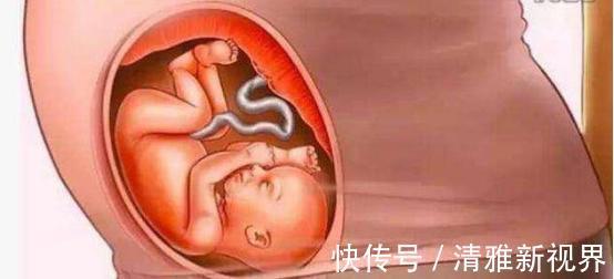 发育|宝宝是怎么被慢慢孕育出来的,十张过程图,一切来之不易