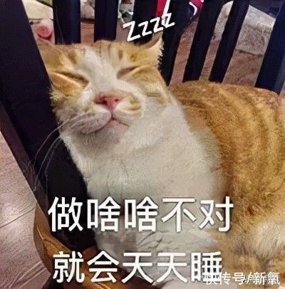 刘维秀$这位77岁的奶奶，穿上汉服也太惊艳了
