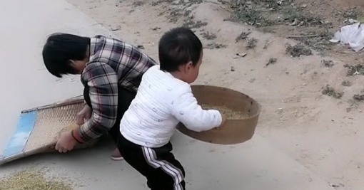 干活|“勤劳奶奶”带娃干农活火了,萌娃“尽情摇摆”的模样超起劲