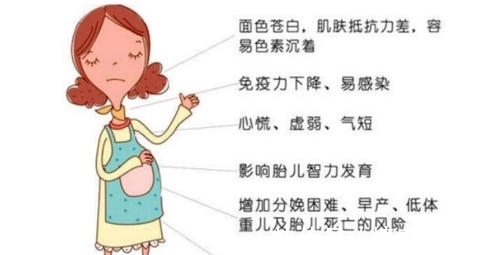 补充|孕期缺铁该怎么办? “铁子”要如何去补充呢?