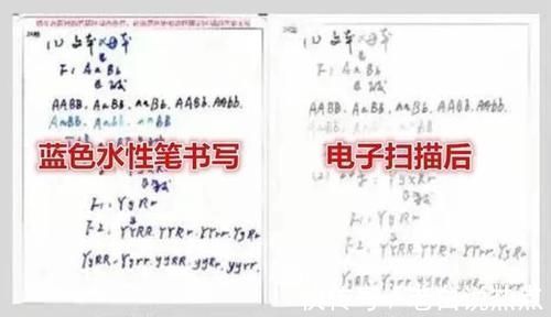 学生#别苦苦练习“柚圆体”了,资深班主任坦言,还是楷体最“正经”