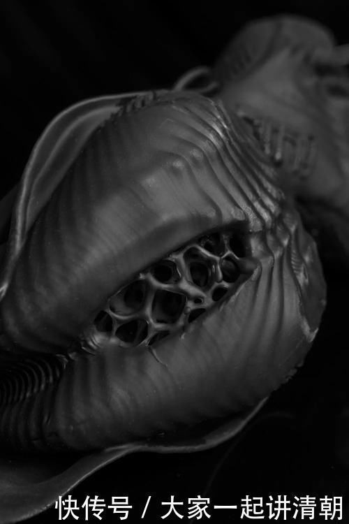 生物感 开箱神秘新鞋!长这样的鞋真没见过!光看鞋盒就惊了!