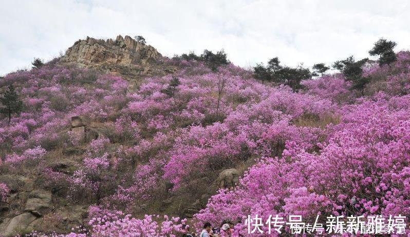 富贵|命中富贵的4属相，财运大红大紫，财运全面开花，成为人生赢家