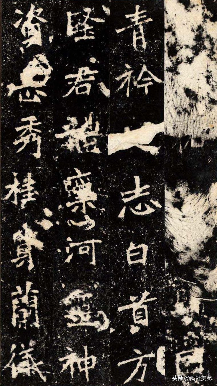 丁母@正体变态之宗《张猛龙清颂碑》欣赏:潇洒古淡 奇正相生