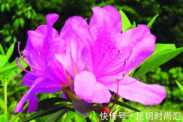 好命&俗话说:人在做天在看,多做4件“积德事”,必能一生好命多财!