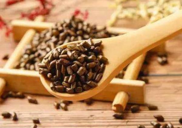 決明子和此物是絕配,常用來泡水喝,潤腸通便,大肚腩不見了