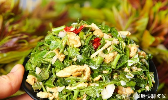 春天里最好吃的9种野菜，再不吃，过了这个月，就要等一年才能有