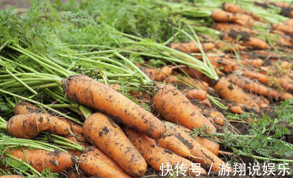 趣友们|胡萝卜配一宝，一起食用，眼睛明亮了，血管通了，肝脏也好了