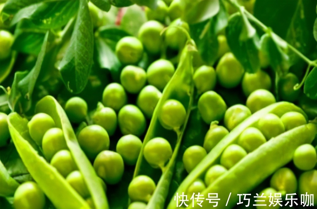 春冬|好吃不长肉的食物,春天坚持吃,预防早衰,排毒嫩肤,提高智力