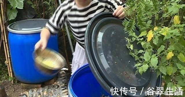 叶片|厨房3种垃圾,是难得的氮磷钾肥,养花浇一点,叶片油亮花不断!