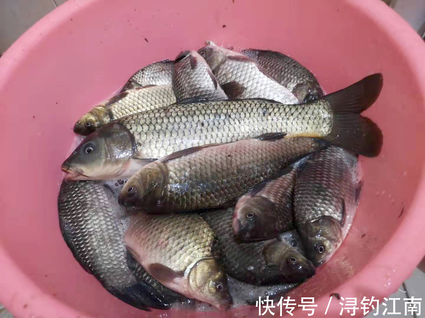 野钓成为高手的标志之一:会做窝。可具体要怎么做?一文读懂其中的主要思路