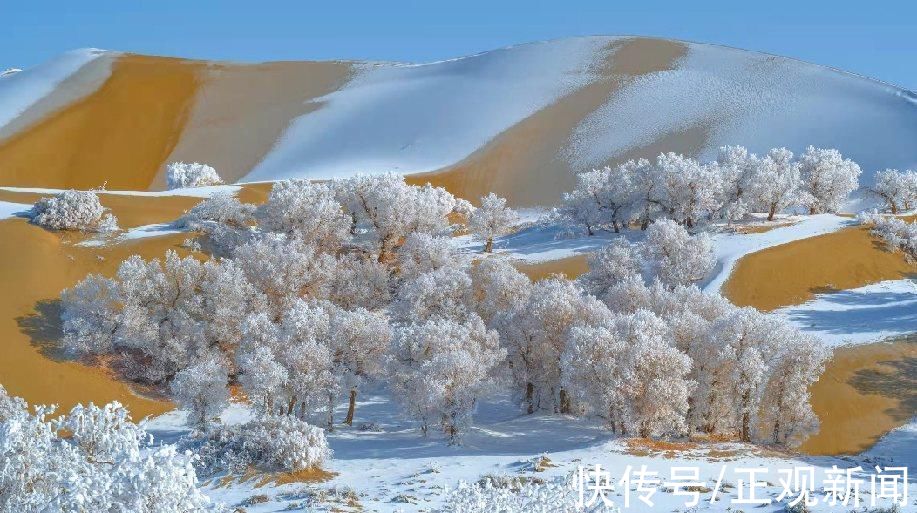 沙漠也会下雪?塔克拉玛干沙漠雪的图美到“惊艳”!