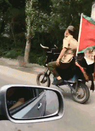 |搞笑段子王:大哥,你可以去草原啊