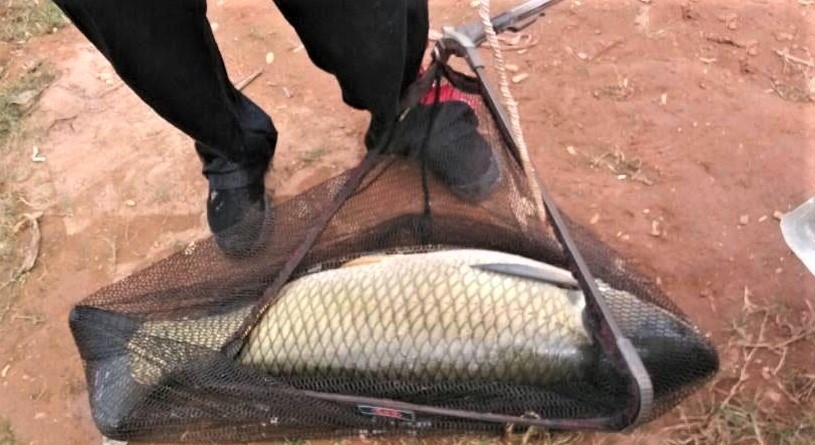 钓草鱼需要技巧吗？知道这些细节，扬竿上鱼到手软