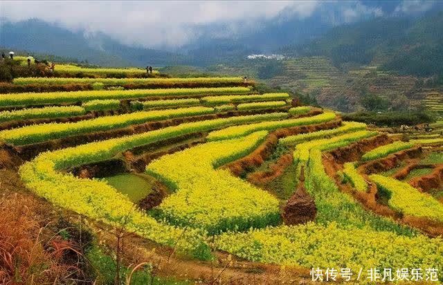 老年|微视河南,河南的那些梯田风光,分分钟把你迷倒