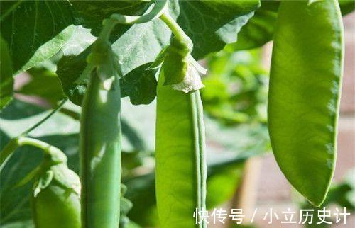 美容养颜|爱美女性要多吃3种食物,美容养颜、滋润皮肤,越吃越年轻!