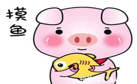 |幽默笑话:表妹是学校里的校花,最近有个富二代疯狂的追求她