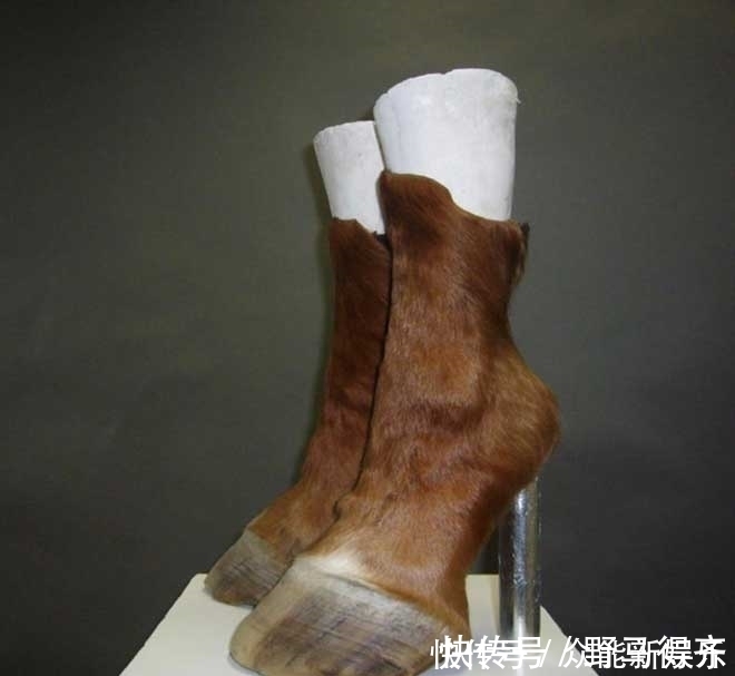 m令人瞠目的怪鞋子:仿效骆驼趾,把金鱼缸穿在脚下