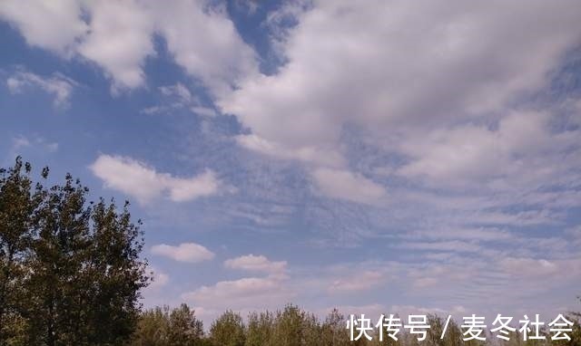 考古#中国考古正在发生一件重要事件：夏与商的较量，文明与卑鄙的对决