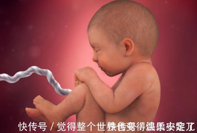 胎动|孕肚“鼓包”和“不鼓包”，与胎宝性别有关吗？准妈妈来了解差别