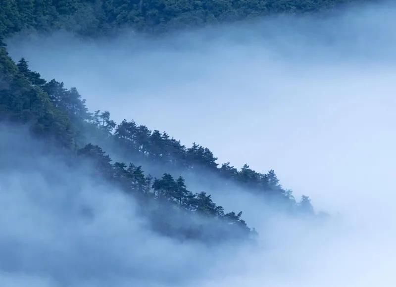 李白|李白：两岸青山相对出，孤帆一片日边来