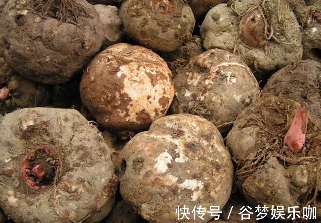 糖尿病|常吃核桃可降血糖，提示，不想血糖飙高，3种素食尽量少吃