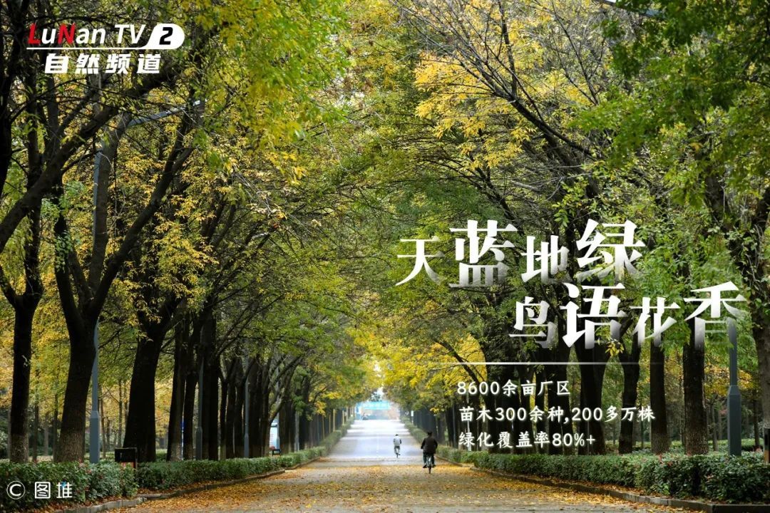 观众朋友们,欢迎收看鲁南制药卫视,频道任你选!