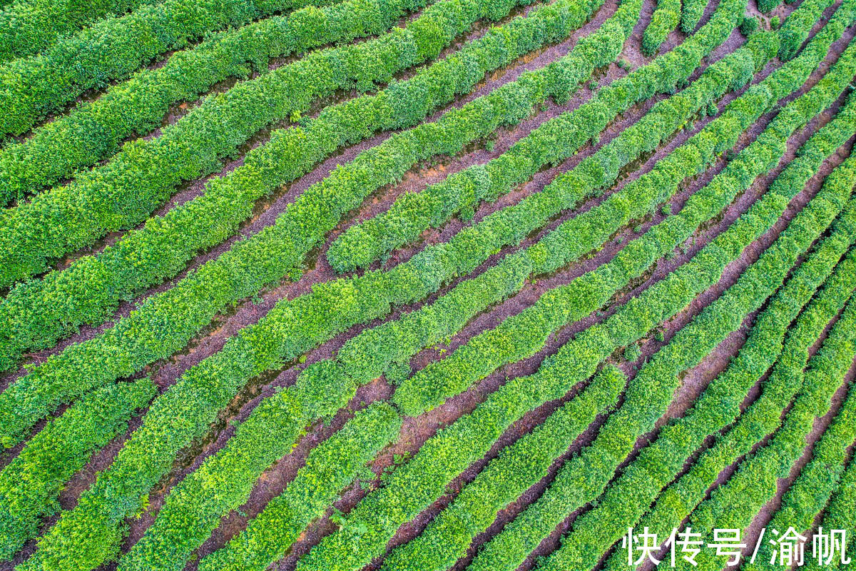 土壤|重庆江津：中国长寿之乡，富硒名城，适合养老与旅行的硒望之城