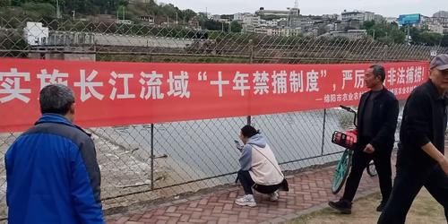 重庆一河道大量鱼群逆流而上，聚集在水坝下，市民：好多年没见了