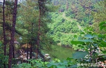 十二首描写鸟的古诗词,爱护鸟儿,更喜欢诗词