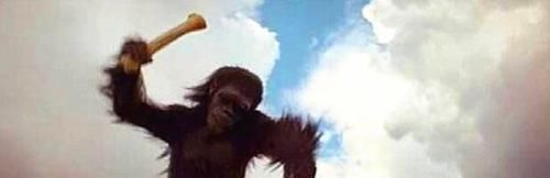 pvc|入住还没一年,衣柜就发霉了,师傅说少做这一步,不发霉才怪