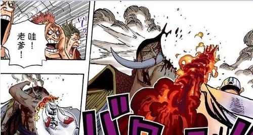 白胡子|海贼王:顶上战争中赤犬敢单挑白胡子,为何很害怕红发香克斯?