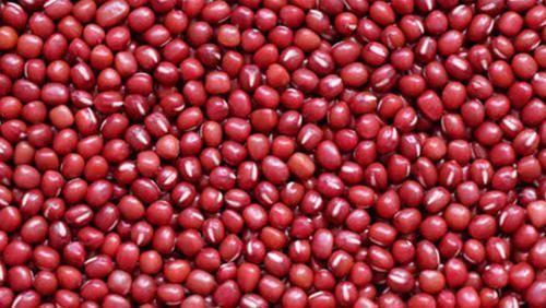 健脾祛湿|湿气重痰多口臭湿气“3大克星”找到了,轮着吃健脾祛湿一身轻