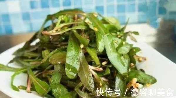 野草|在家乡见到此种野草,切记只摘叶子,不要挖根,因为太珍贵了