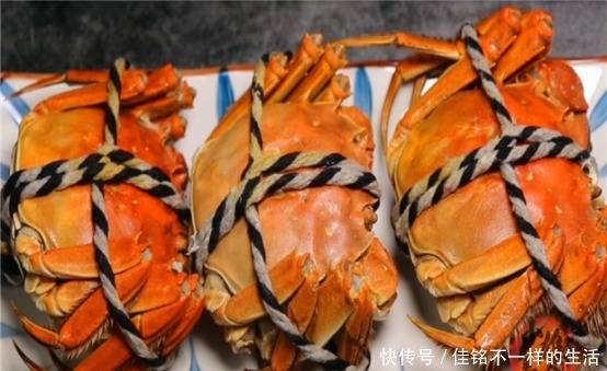 知识|才发现,原来螃蟹身上有两处“小机关”,一捏就知肥瘦,涨知识了