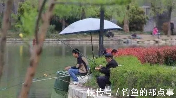 洄弯处|2月野钓别乱来,只要用上5字秘诀,钓上来的全是大野鲫