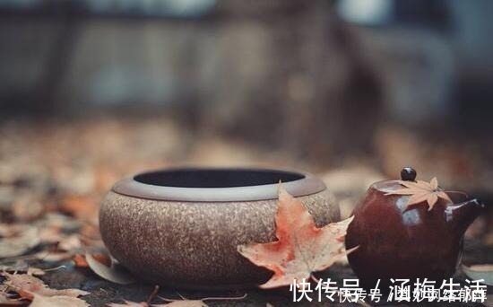 哲理#宋代高僧的一首诗,名气不大却极具哲理,读后让人烦恼全消