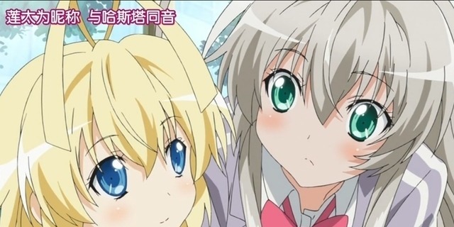 盗贼山惠|角色很萌,声优还是女生,作者你却告诉我们他是男孩子?