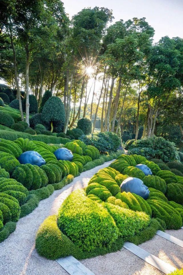 植物“整形”，花样百出