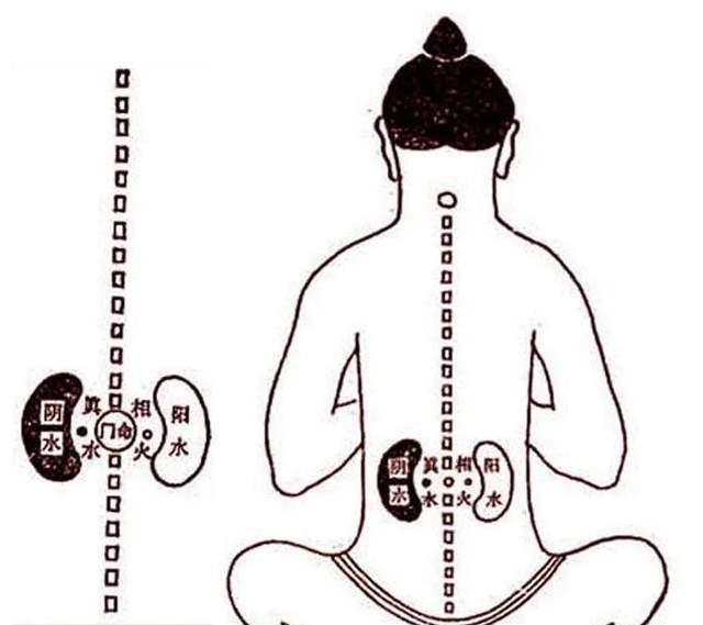 丹田|中医大家开创一套新理论，人身体一个部位决定生死健康，什么部位