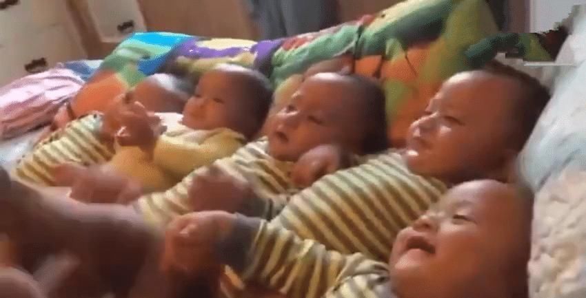 稀罕|面对家里的五胞胎，哥哥不知道“稀罕”谁好，挨个亲也亲不过来！