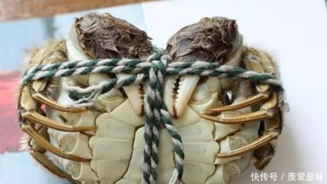 母蟹|买的“螃蟹”总是发苦膏少,掌握两个小技巧,挑的螃蟹肉肥膏满!