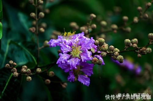 光宗耀祖|孩子出生在几点钟，机灵善思，注定能光宗耀祖，成为人上之人