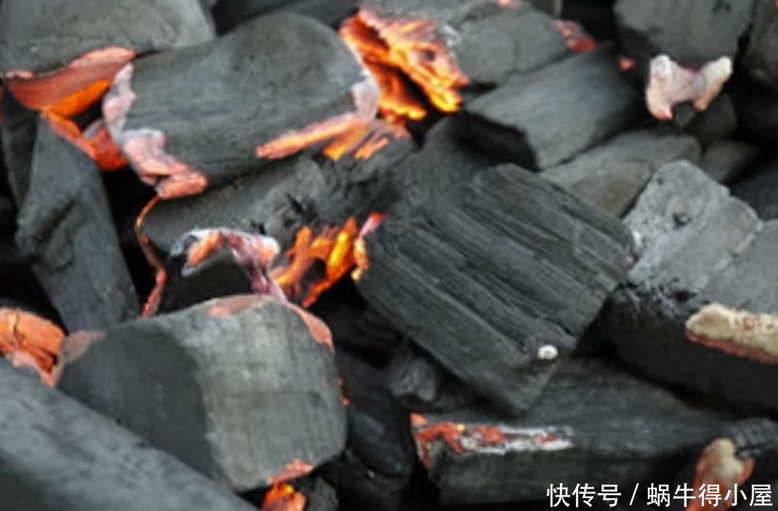 挖掘木炭养花用途：当肥？改善土壤？防治病虫害？