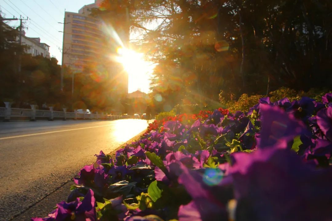 秋色|这里藏着一座银杏公园，秋色撩人，园外景色更是美不胜收