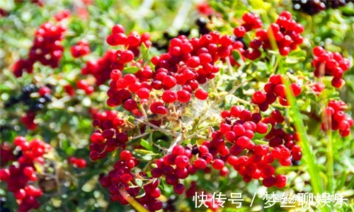 女性来“大姨妈”时,常吃4种食物,缓解经期腹痛,排出子宫污血