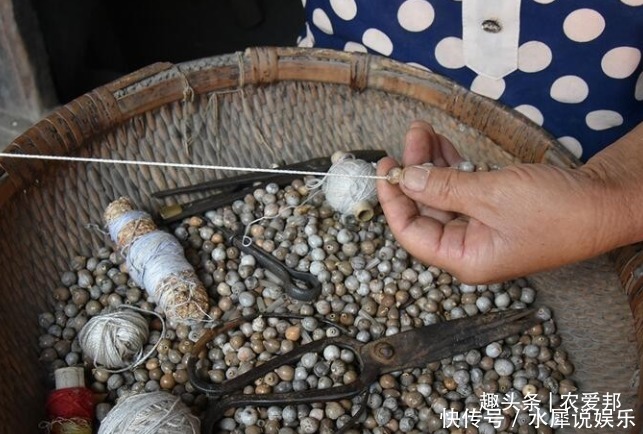 朋友|以前在農(nóng)村很常見(jiàn)的一種野草,很多朋友都用見(jiàn)過(guò),你認(rèn)識(shí)嗎