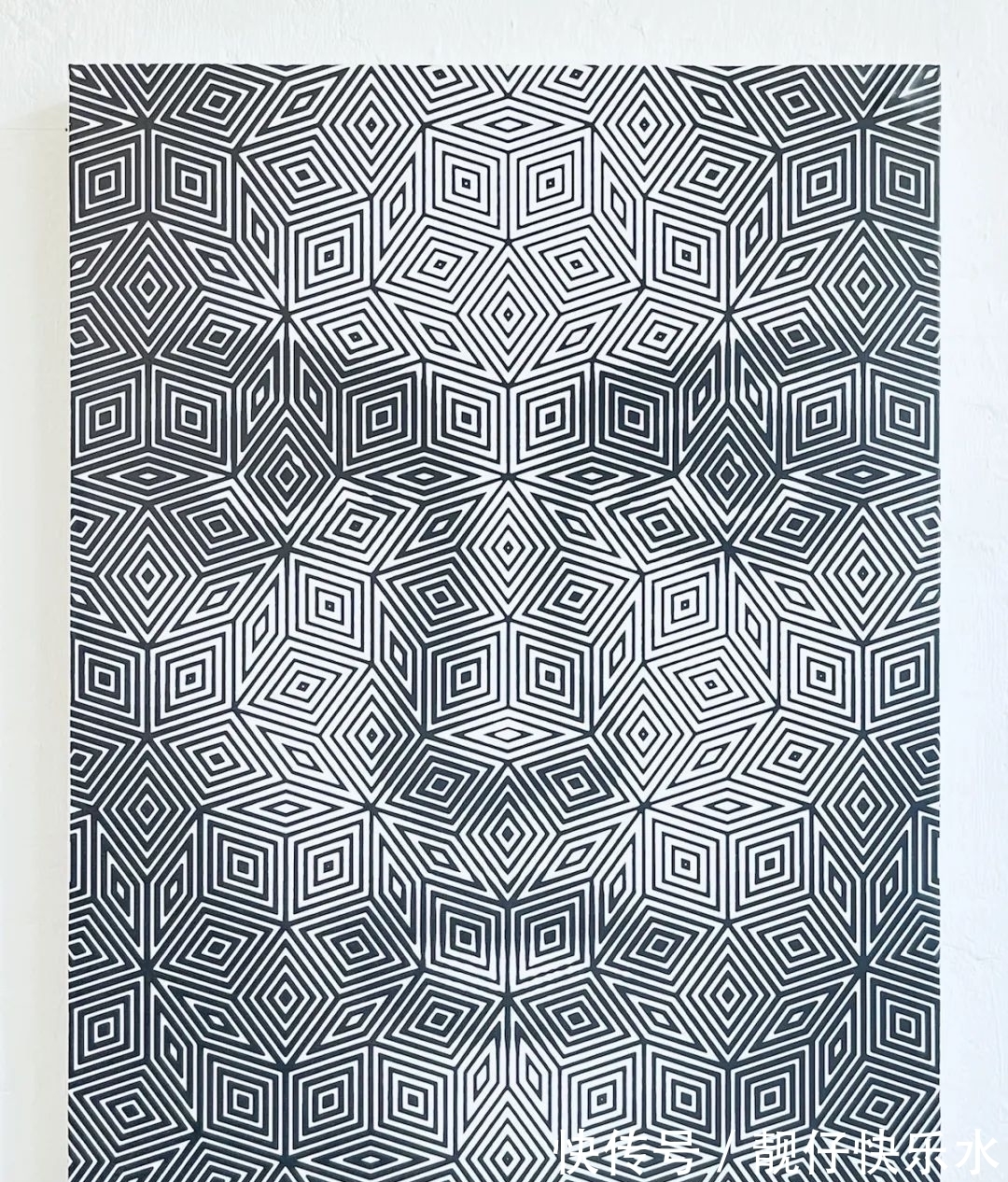 眼睛$他的画让双眼宕机,视力越好越看不到,视力差反而能看清