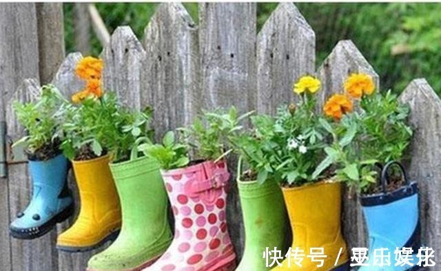 花盆别买了,家里找一找就有,不要的牛仔裤也能当花盆养花